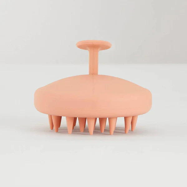 Hanna Scalp Brush